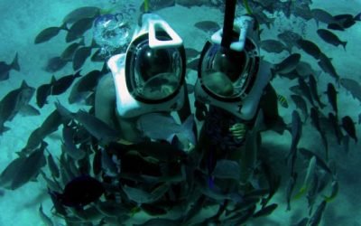 ¡Conoce el maravilloso Museo bajo el agua de San Andrés!