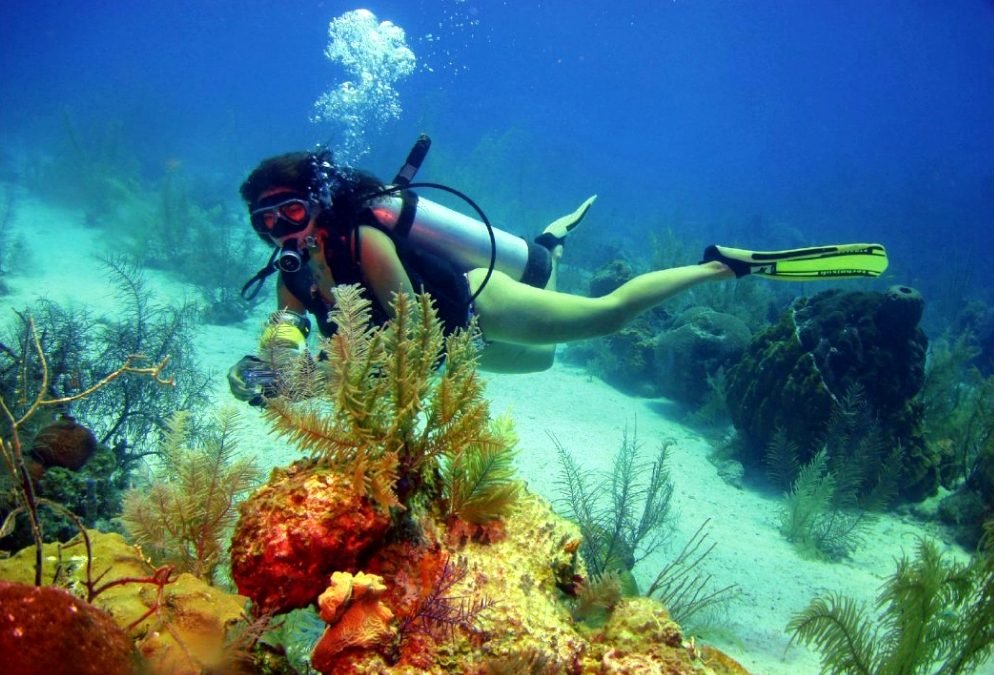 Paquetes turísticos para viajar con tu familia a la isla de San Andrés