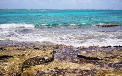 Conoce el Mar de 7 colores de San Andrés, lugar único en el mundo