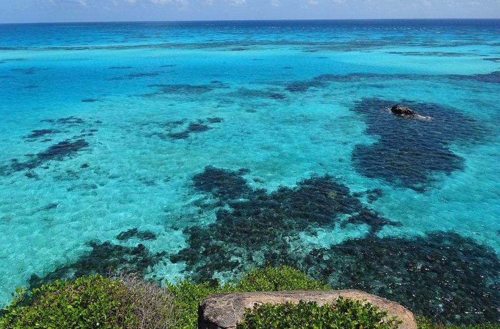 ¿Conoces la reserva marina Seaflower de San Andrés?