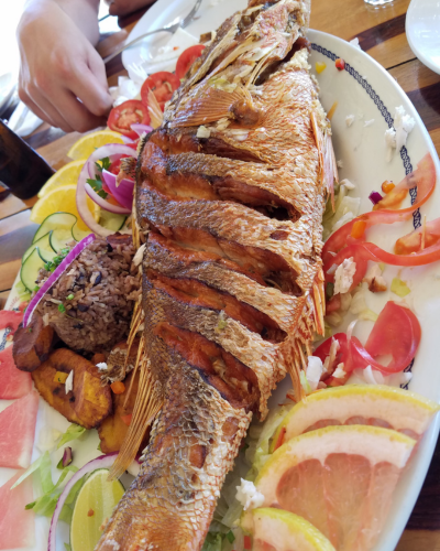 Platos de comida caribeña típica Platos de comida caribeña típica